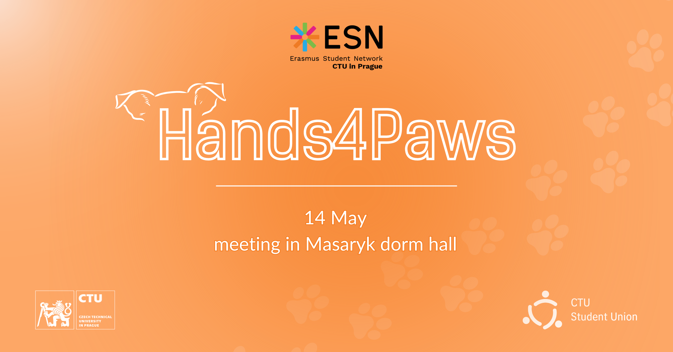 Hands4Paws